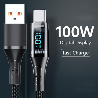 100W Type C Digital Display Cord